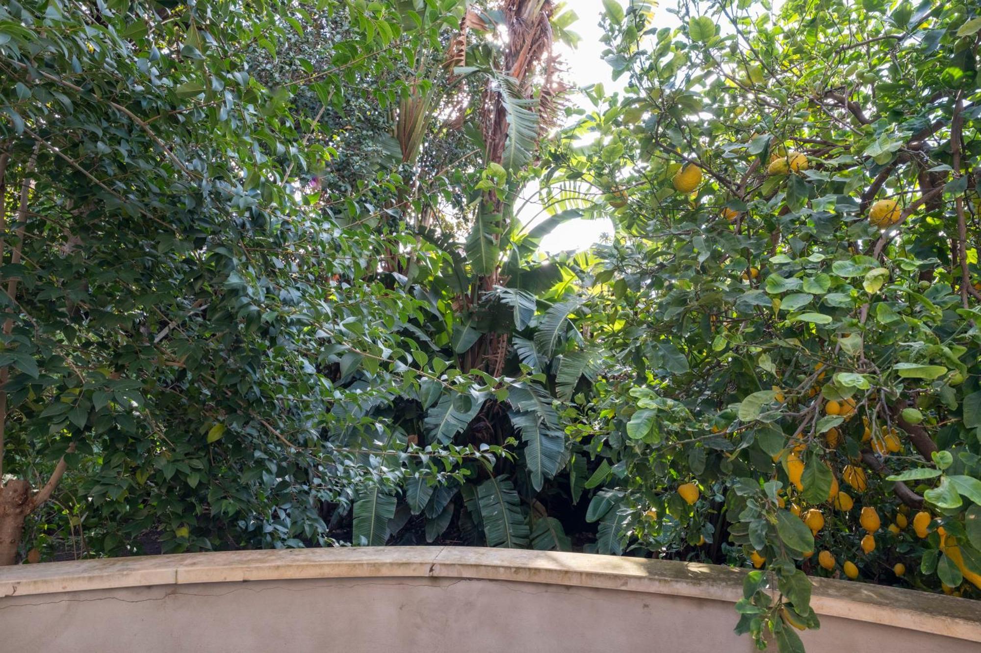 La Corte Dei Nespoli Acireale Kültér fotó